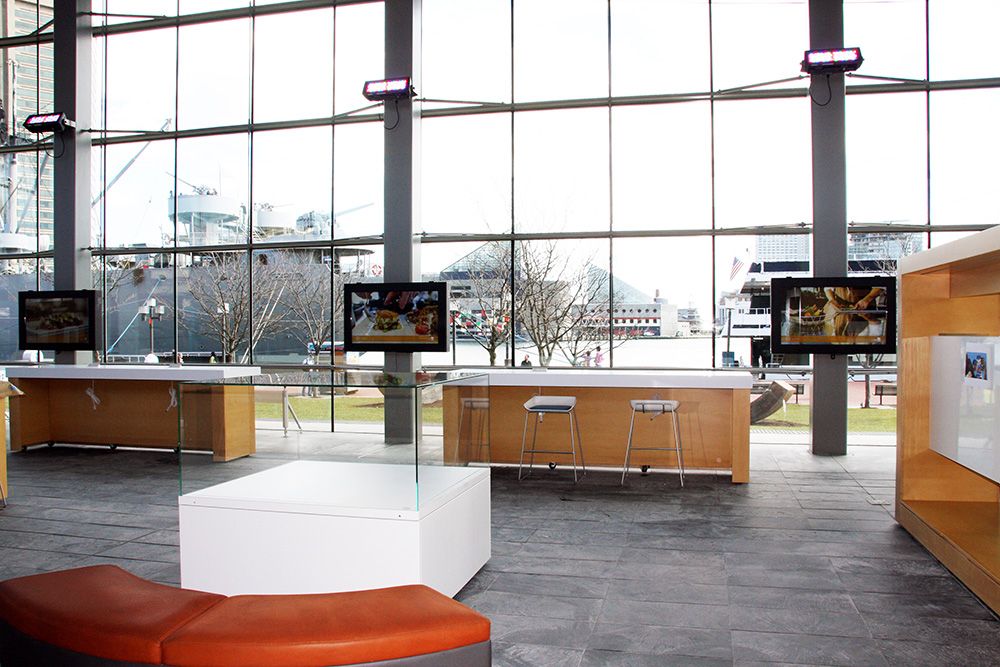 Visitor Center TV Enclosures